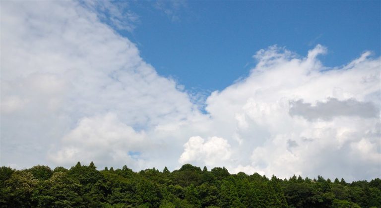 家族紹介